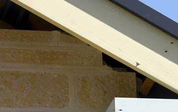 soffit repair Thurlton Links