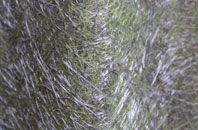 Thurlton Links fibreglass roof work